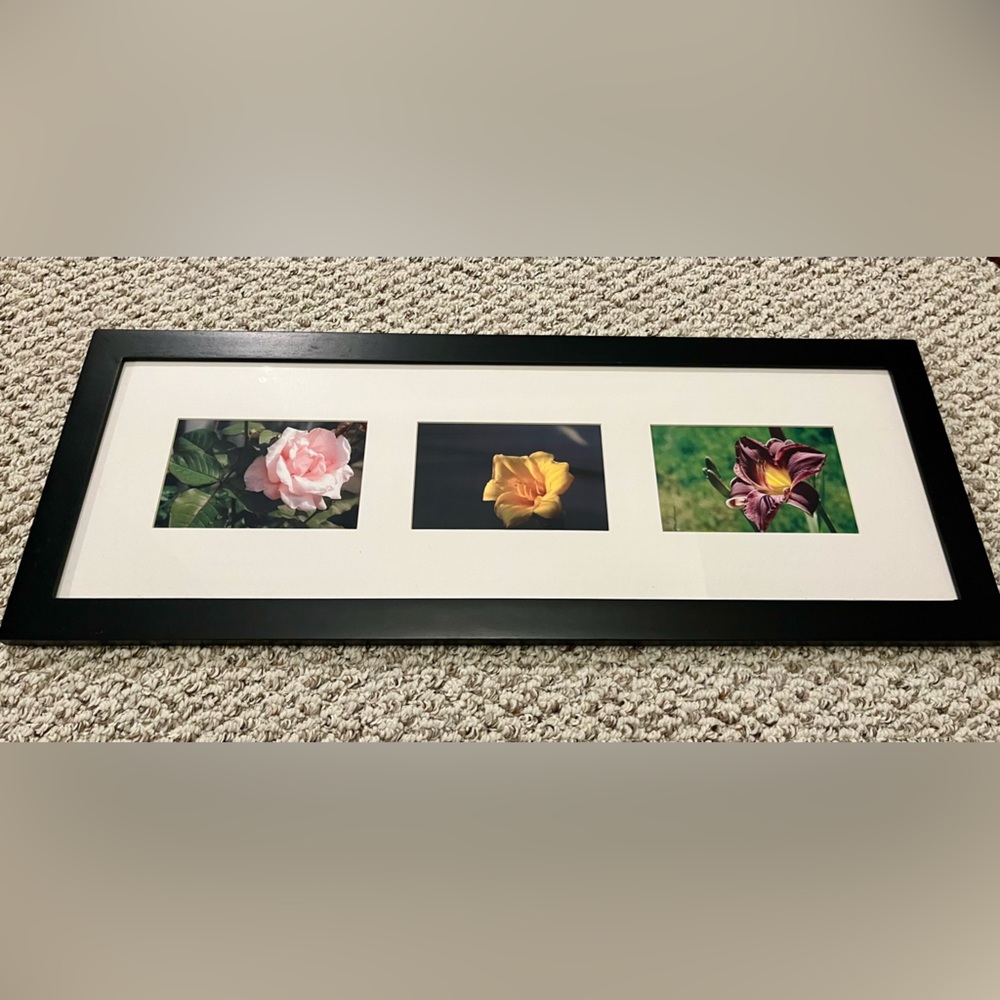 Framed Flower Photographs